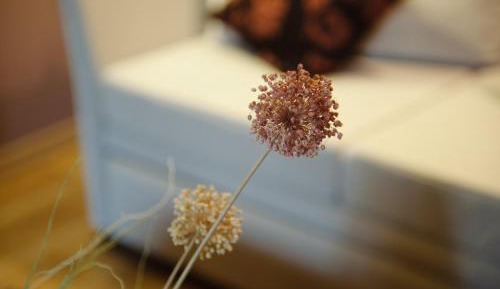 Junior Suite with Shower - Disability Access