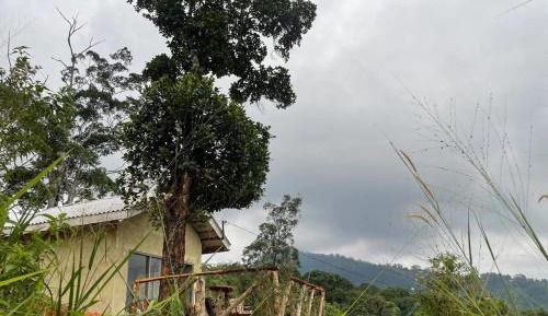 King Room with Mountain View