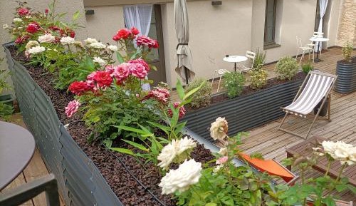 Double Room with Terrace