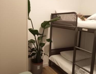 Double Room with Shared Bathroom