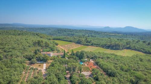 Apartment with Garden View