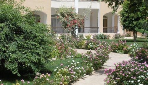 Apartment with Garden View