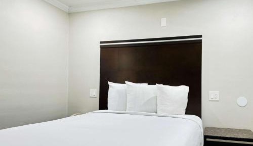 Standard Room, 1 Queen Bed, Non Smoking