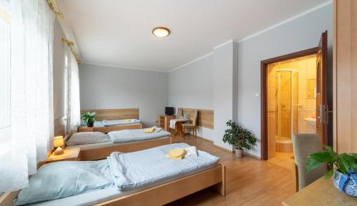 Comfort Triple Room with Shower