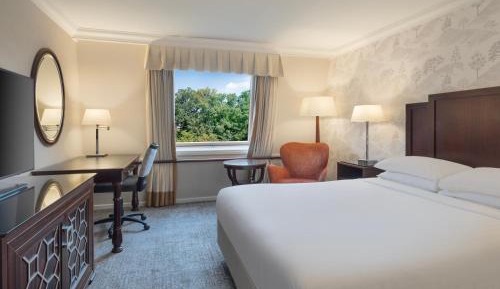 Superior King Room