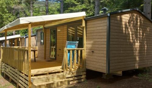 Mobile Home