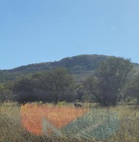 Family Room with Shower