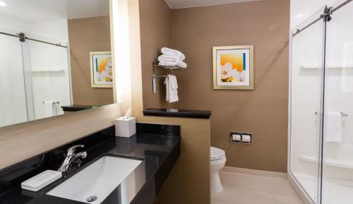 King Suite with Sofa Bed - Non-Smoking