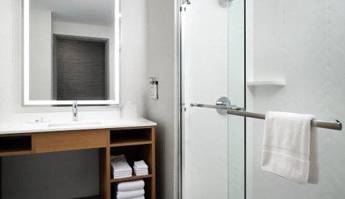 Premium King Room with Walk-In Shower
