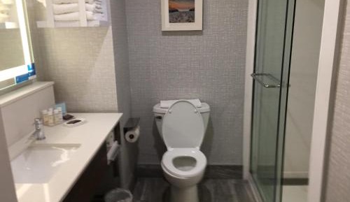 King Room with ADA Shower - Mobility/Hearing Accessible