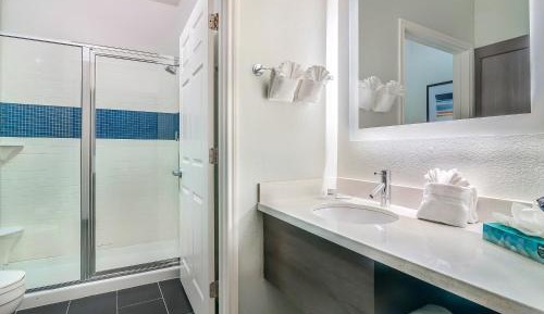 One-Bedroom King Suite