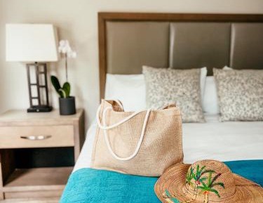 Premier Bay View with One King Bed and Juliet Balcony