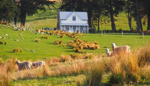 One-Bedroom Cottage - Shepherd's Cottage