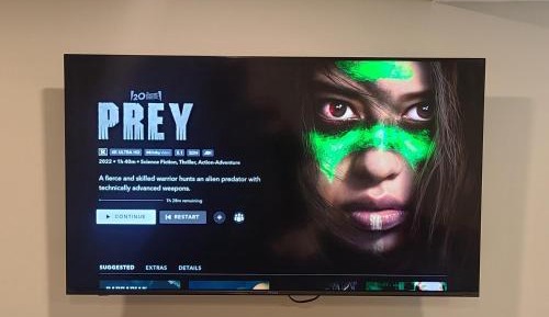 Double Room with Private Bathroom (Not Pet Friendly)