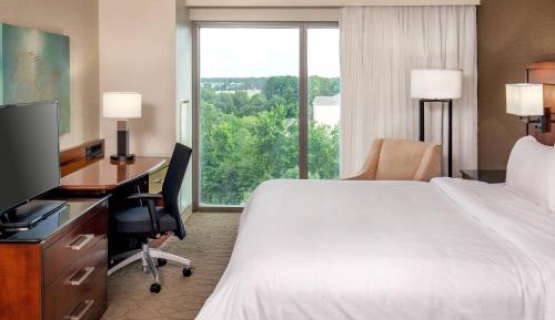 King Room with 1 King Bed 