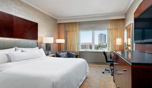 Traditional, Guest room, 1 Queen