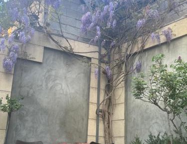 Villa with Garden View