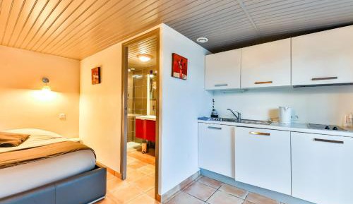 Superior Studio with Terrace