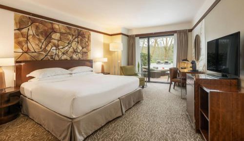 Deluxe Double or Twin Room with Garden View