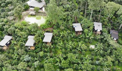 Family Bungalow