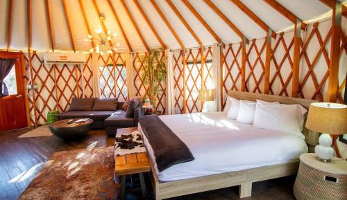 Willow Yurt