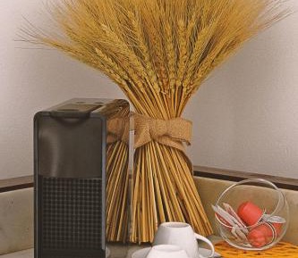 Double Room with Private External Bathroom