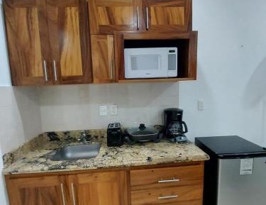 Studio with Mountain View