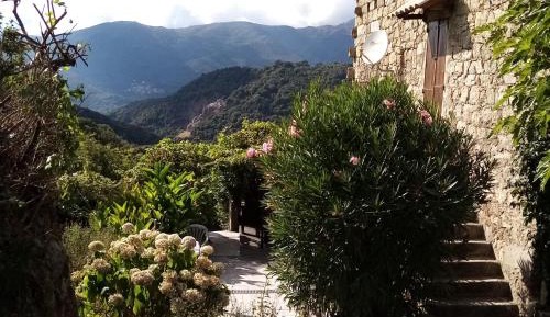 Rez de Jardin et Chalet 