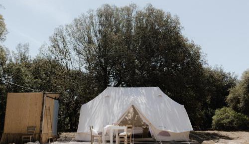 Tent