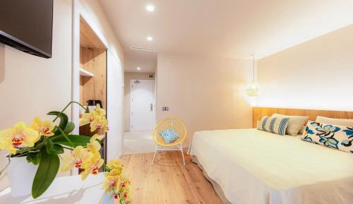Superior Deluxe Double or Twin Room 