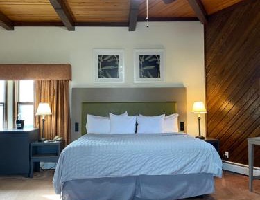 Deluxe King Suite