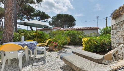 Superior One-Bedroom Apartment