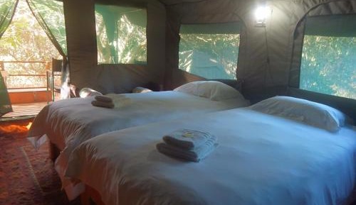 Tent