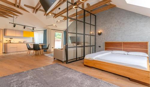 Studio with Mountain View