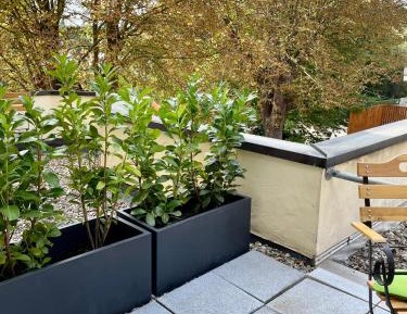 Double Room with Terrace