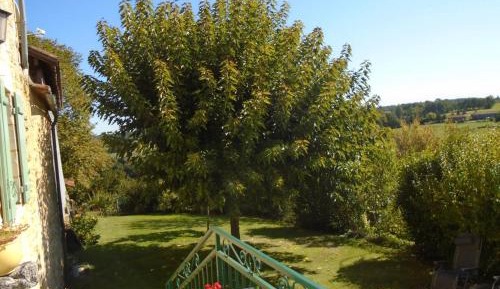 Holiday Home (6 Adults)