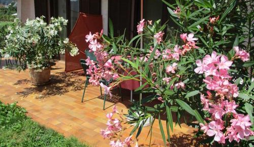 Double Room with Lake View