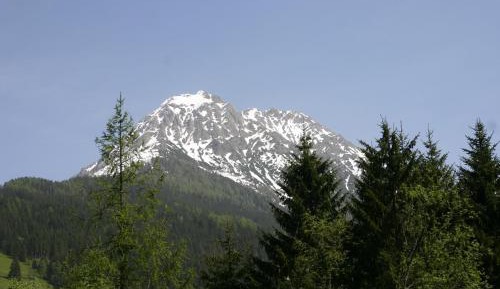 One-Bedroom Apartment with Balcony