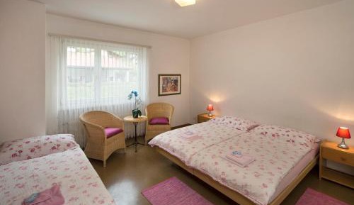 Triple Room with Mountain View