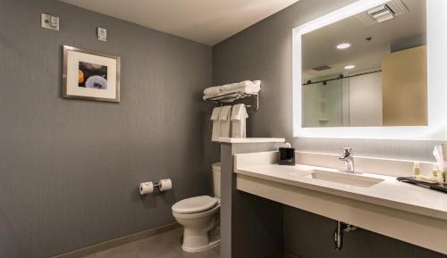 King Suite with Sofa Bed