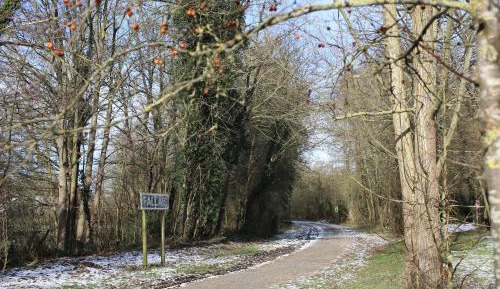 Family Room with Terrace