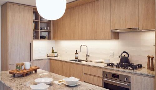 Level Suite