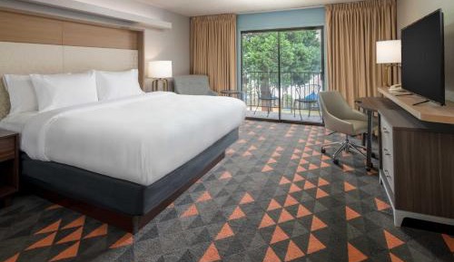 One-Bedroom King Suite