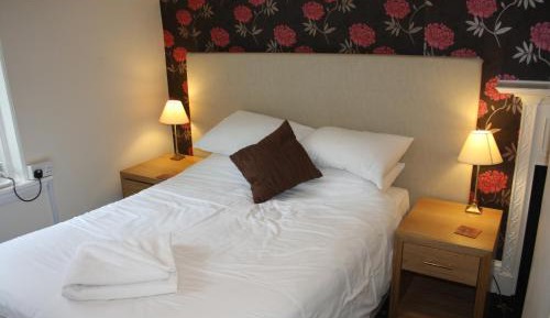 Basic Double Room