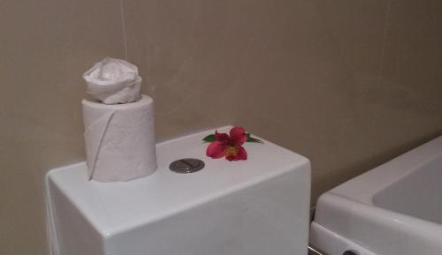 Double or Twin Room with Pool View