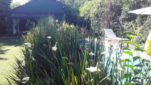 Quadruple Room with Garden View