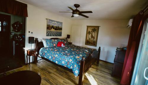 Deluxe King Suite