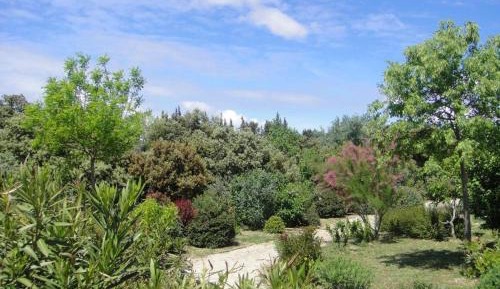 Comfort Apartment (2 Adults)