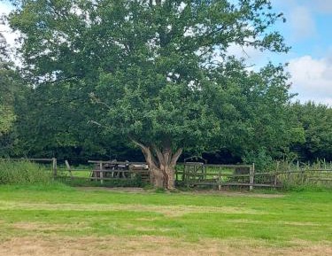 Empty Grass pitch - For your own tent or campervan 