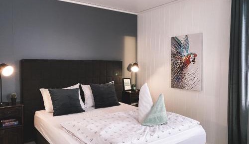 Superior Double or Twin Room